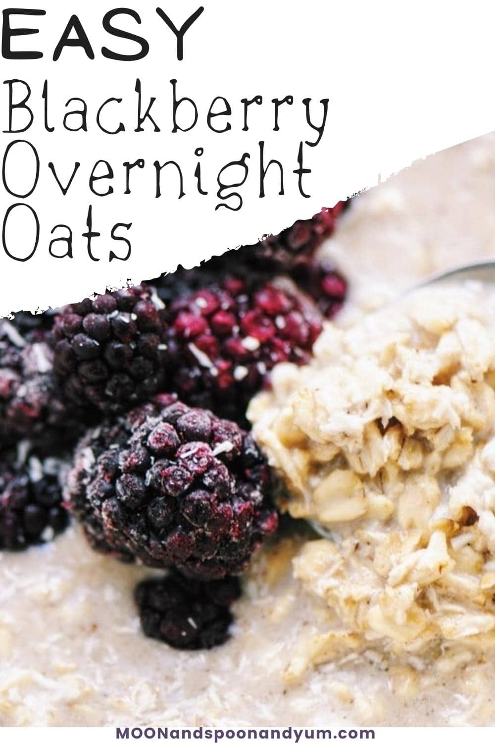 Easy Blackberry Overnight Oats MOON and spoon and yum
