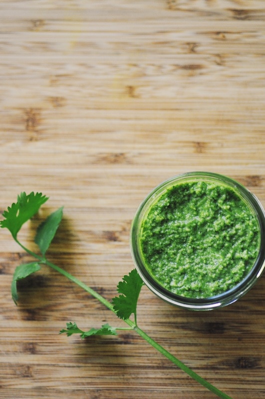  Super healthy, easy, delicious and vibrant green Cilantro Pesto perfect as a dip, topping, on pizza and pasta or any way you would use your favorite condiment! #pesto #cilantro #cilantropesto #sauce #green #healthy #condiment #vegetarian 