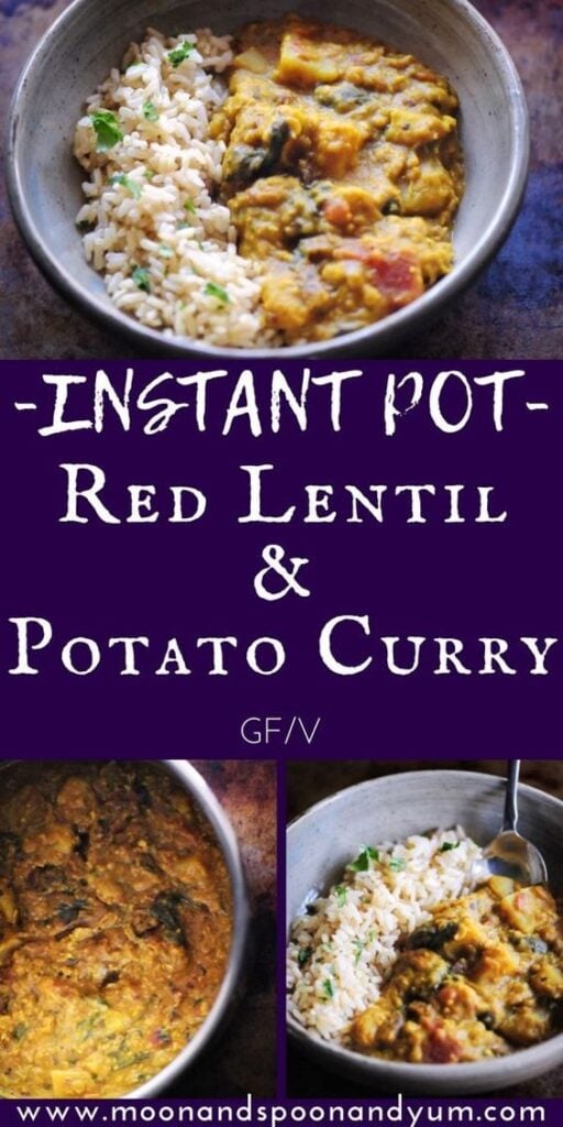 pinterest pin image for instant pot curry recipe