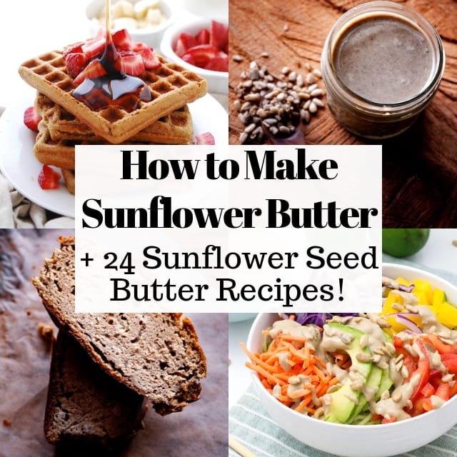  How to Make Sunflower Seed Butter + 24 Sunflower Seed Butter Recipes: Learn how to make delicious and healthy sunflower seed butter a.k.a. sunbutter, learn more about sunflower seed butter nutrition, and find 16 easy and nutritious recipes to use sunflower seed butter in. From cookies, to bread, to lunch, dinner, and granola bars - this sunflower seed butter recipe round-up has it all! #sunbutter #sunbutterrecipes #howtomakesunbutter #sunflowerseedbutter #howtomakesunflowerseedbutter 