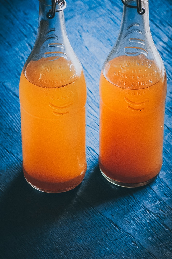  This delicious, fizzy probiotic-rich Water Kefir recipe is high in Vitamin C thanks to the Amazonian superfood Camu Camu! Learn all about Camu Camu, how to make water kefir, health benefits and more alongside this easy and fun Camu Camu Water Kefir Recipe! #waterkefir #camucamu #camucamupowder #waterkefirrecipe #howtomakewaterkefir #waterkefirbenefits 