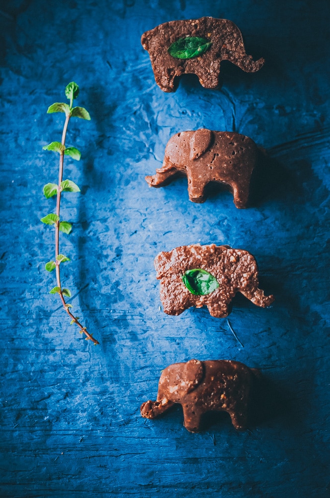  This easy and HEALTHY Mint Chocolate Freezer Candy with Adaptogens is raw, vegan, gluten-free and sugar-free! #adaptogens #adaptogenic #healthycandy #freezercandy #rasakoffee #cacao #peppermintrecipes #sugarfreecandy #mintchocolate 