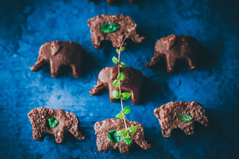  This easy and HEALTHY Mint Chocolate Freezer Candy with Adaptogens is raw, vegan, gluten-free and sugar-free! #adaptogens #adaptogenic #healthycandy #freezercandy #rasakoffee #cacao #peppermintrecipes #sugarfreecandy #mintchocolate 