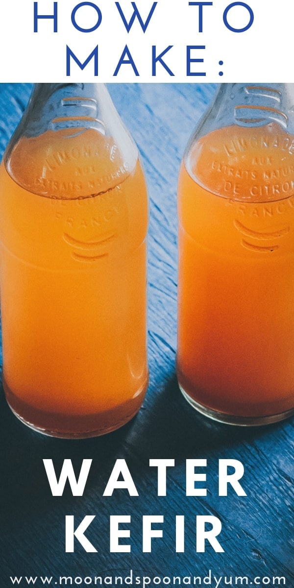 How to Make Water Kefir MOON and spoon and yum