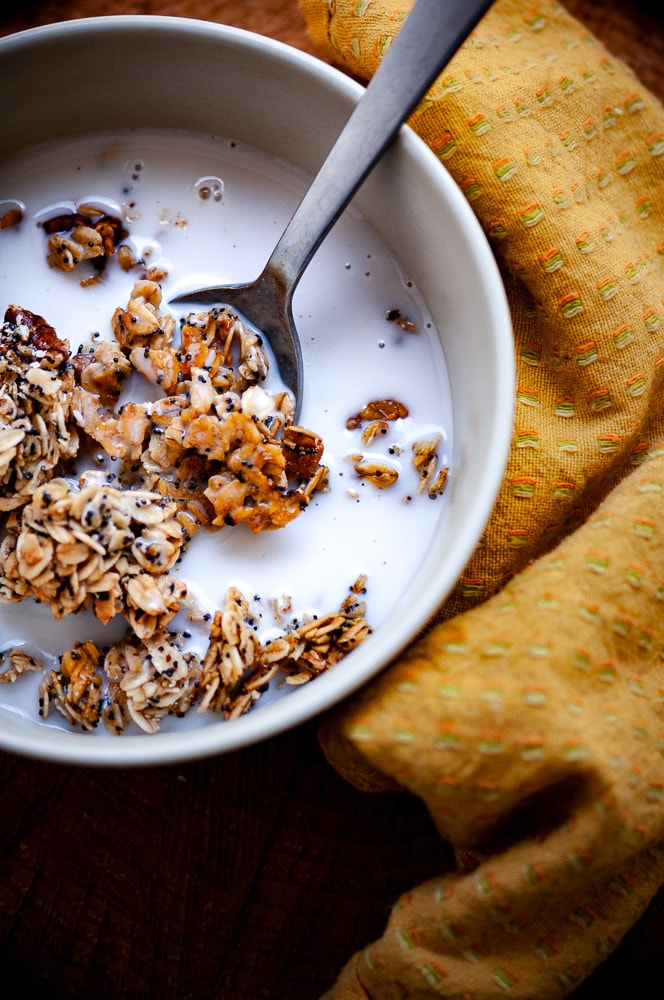  SUPER easy and delicious Lemon Poppy Seed Granola that is gluten-free, dairy-free, vegan, with nut and sugar-free options! #lemonpoppyseed #granolarecipe #vegangranola #dayhikingfoodideas #glutenfreegranola #lemonpoppyseedgranola #healthycereal 