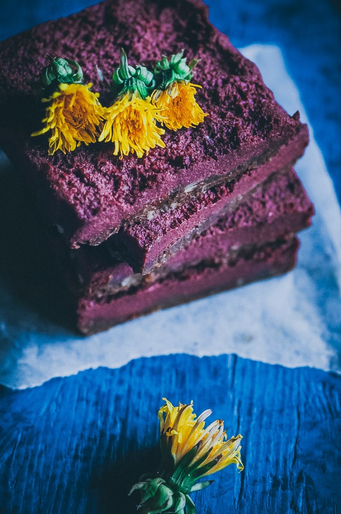  Delightfully EASY, healthy and tasty No Bake Dandelion Beet Chocolate Bars made with cacao powder, coconut flour, beet powder and fresh dandelions, makes a great first foraging project or fun nutritious treat for spring! Gluten-free, vegan, raw, refined sugar-free. #beetbars #dandelionbars #dandelions #beetpowder #rawbars #veganbars #nobakebars #glutenfreebars #foragingrecipes 