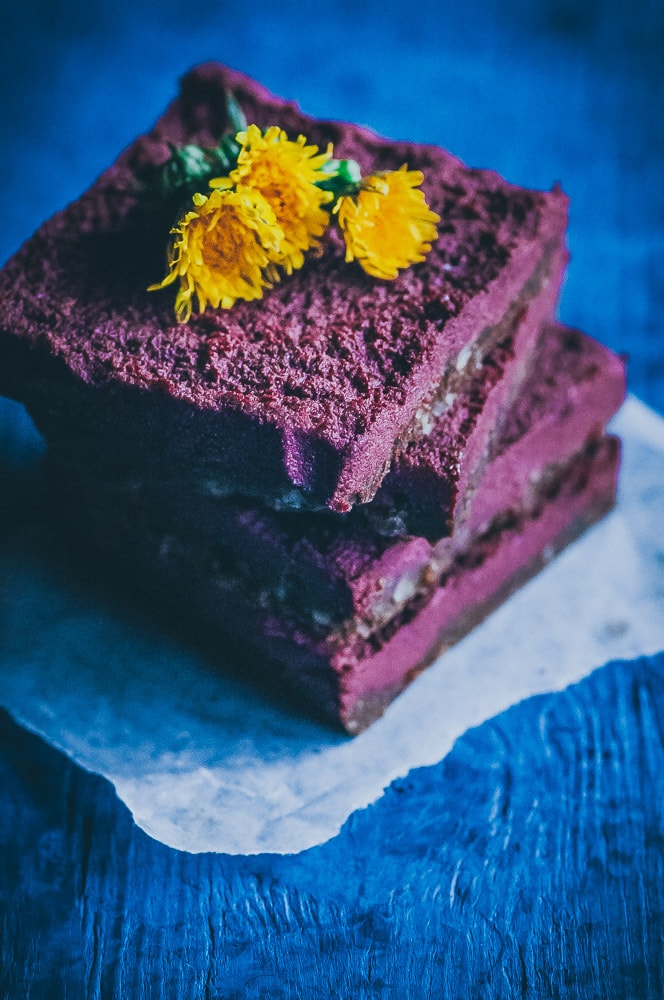 Delightfully EASY, healthy and tasty No Bake Dandelion Beet Chocolate Bars made with cacao powder, coconut flour, beet powder and fresh dandelions, makes a great first foraging project or fun nutritious treat for spring! Gluten-free, vegan, raw, refined sugar-free. #beetbars #dandelionbars #dandelions #beetpowder #rawbars #veganbars #nobakebars #glutenfreebars #foragingrecipes 