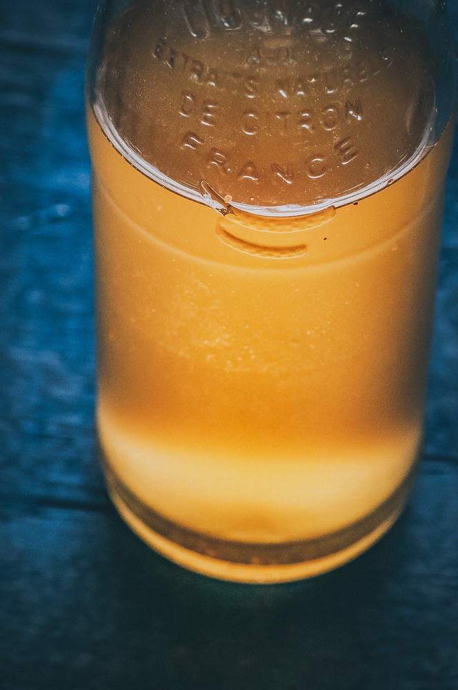  Easy + Healthy Adaptogenic Water Kefir made with Rasa Koffee! This earthy water kefir is filled with the mood, immunity and energy boosting health benefits of adaptogens paired with the gut healing probiotics power of kefir! #waterkefir #adaptogens #adaptogenic #rasakoffee 