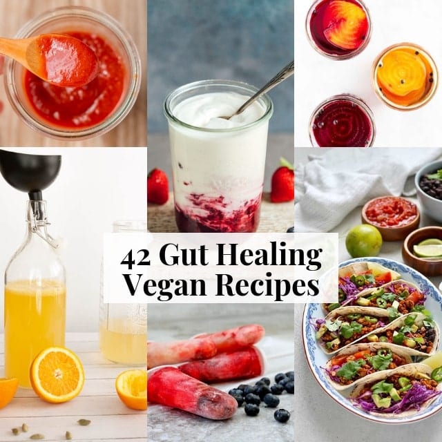  42 AMAZING Vegan & Gluten-Free Gut Healing Recipes, How to Improve Gut Health , Probiotic and Prebiotic Rich Foods, Health Benefits + MORE can all be found in this gut healing vegan recipe round-up! #guthealth #guthealing #veganprobiotics #prebiotics #fermentation #pickles #veganguthealth #glutenfreeprobiotics #leakygut #probioticrecipes #guthealingrecipes 