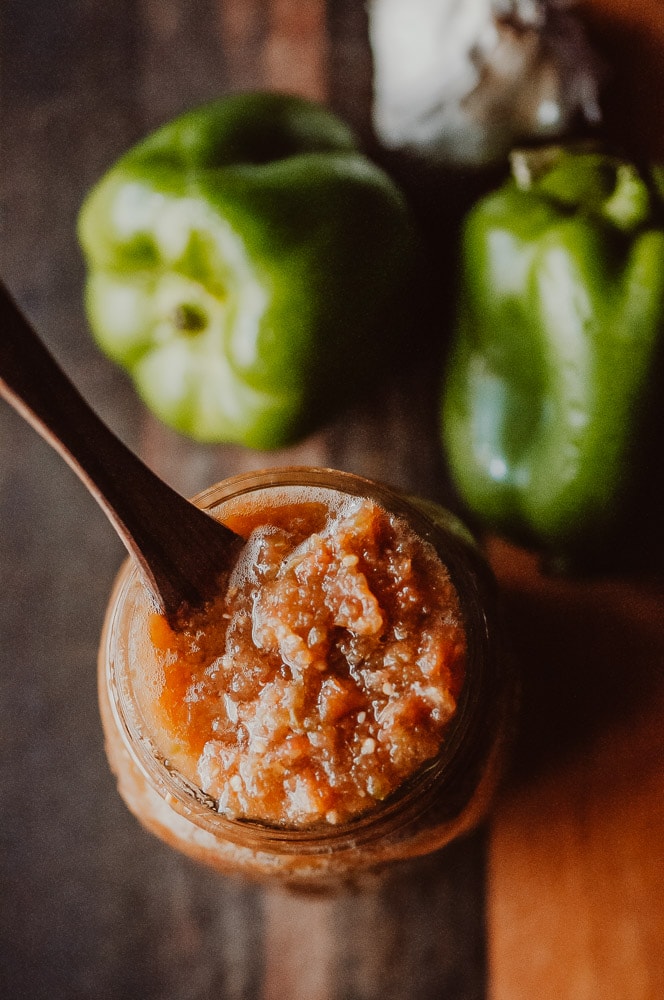  Super EASY + DELICIOUS fermented salsa made with bell peppers, cherry tomatoes, garlic and spices. This vegan homemade spicy salsa is filled with probiotics and gut healing properties and filled with fizzy, rich deliciousness perfect for topping Mexican dishes! #fermentedsalsa #spicysalsa #bellpeppersalsa #homemadesalsarecipe #easysalsarecipe 