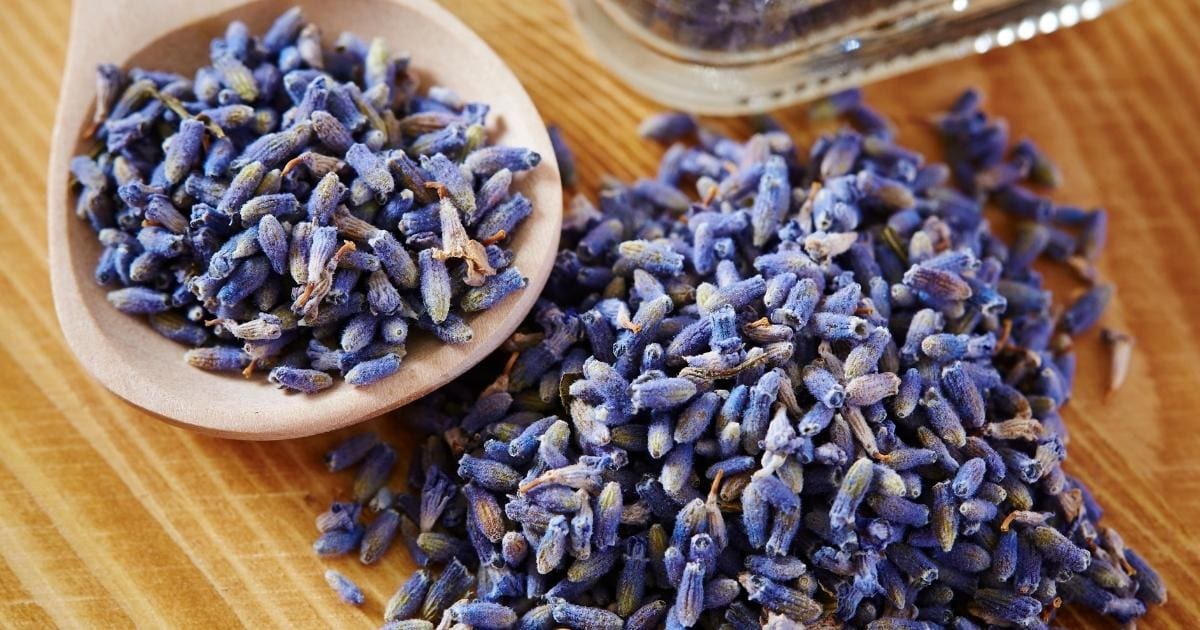 19 Best Lavender Recipes MOON and spoon and yum