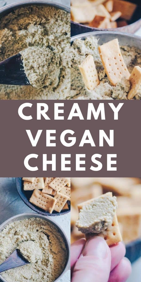 Creamy Vegan Seed Cheese