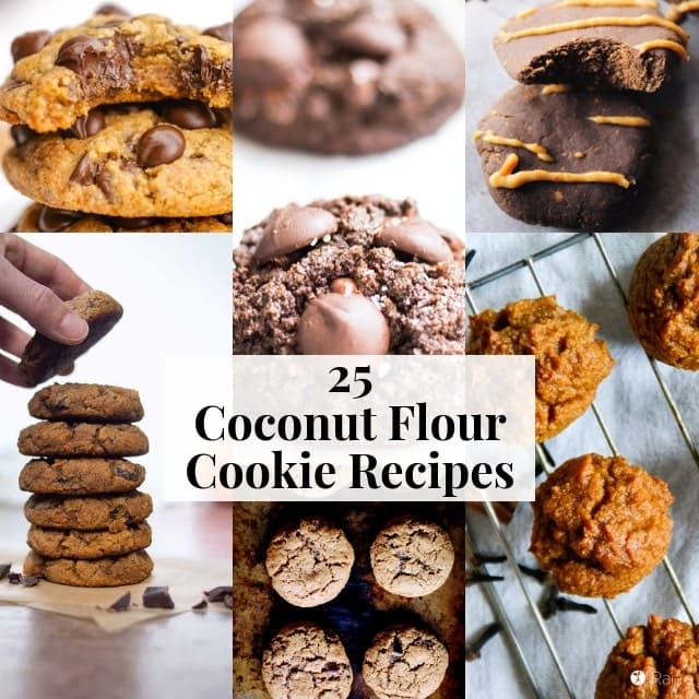  25 Coconut Flour Cookie Recipes - This Coconut Flour Cookie recipes round-up is filled with tons of healthy, easy and delicious gluten-free coconut flour cookies recipes. Everything from keto and low-carb cookies to vegan coconut flour cookies to peanut butter, chocolate chip, pumpkin —you name it! #coconutflourcookies #coconutflour #vegancoconutflourcookies  