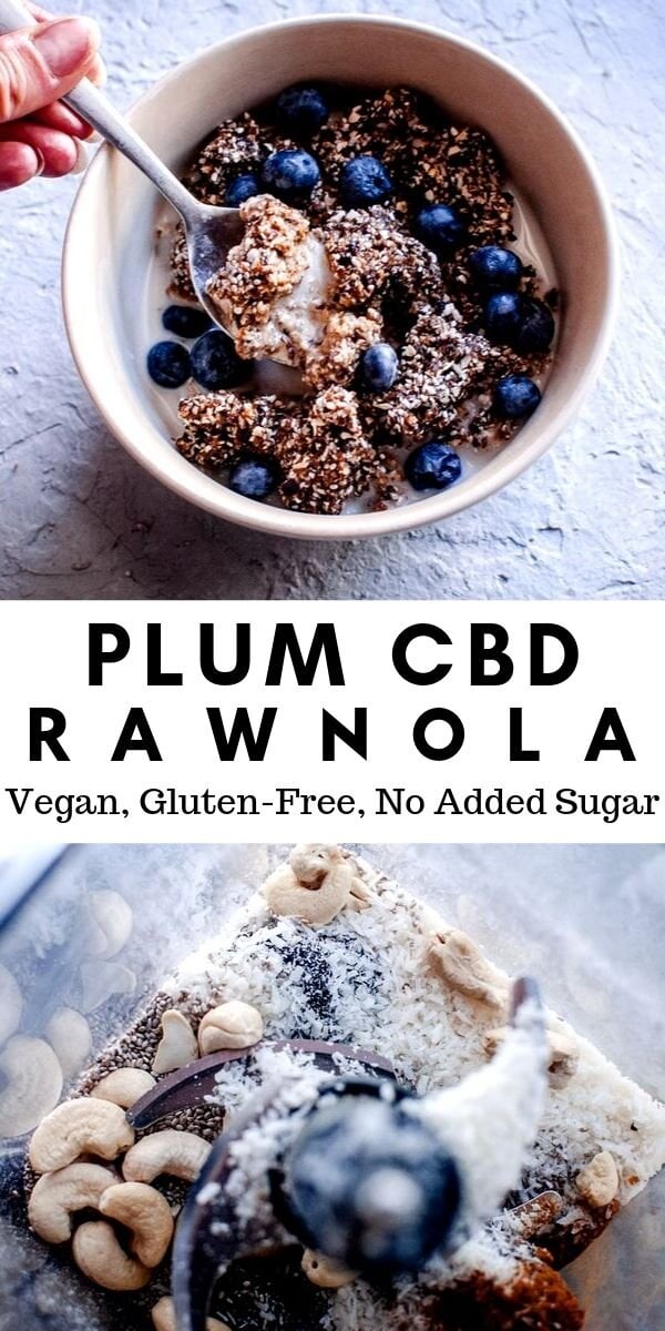  Plum CBD Rawnola (Vegan, Gluten-Free, No Added Sugar) -  This fun CBD recipe features an easy, healthy and delicious Plum Rawnola that is made with a blend of dried plums, oats, cashews, coconut, and chia seeds for a nutrient dense treat that is also gluten-free, dairy-free, vegan, soy-free, and refined sugar-free. This yummy Rawnola can also be made into bliss balls for a delightful twist! #rawnola #cbd #cbdrecipes #rawnolarecipe #driedplums #cbdrawnola  