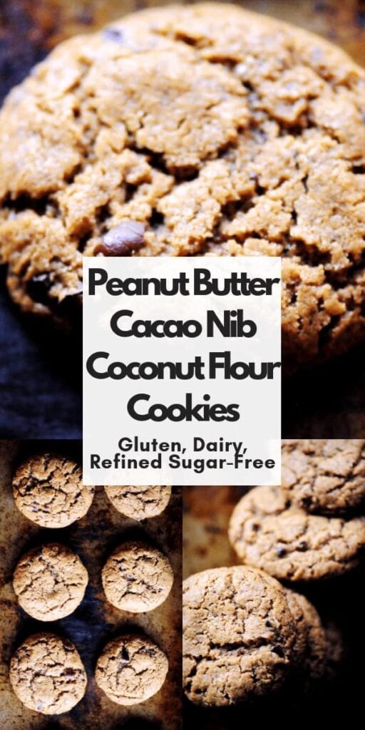 pinterest pin image for peanut butter cacao nib coconut flour cookies