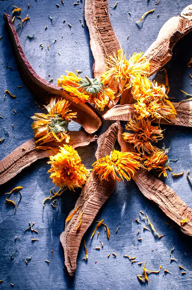 a nature mandala made from reishi slice shiitake mushrooms and calendula flowers