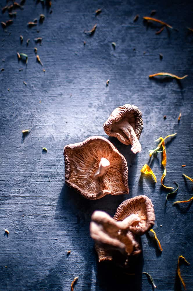 a close up of shiitake mushrooms lit by the glow of evening sunlight