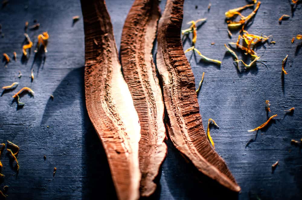 a close up shot of reish mushroom slices from mountain rose herbs