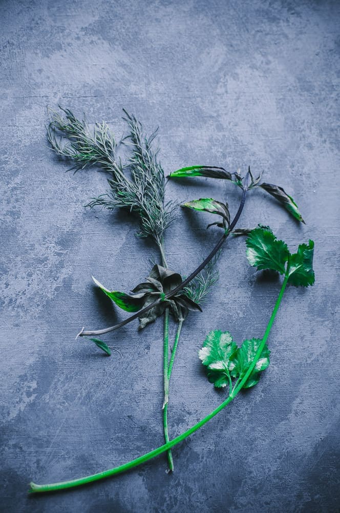 basil mint and dill on a sponge painted wooden gray backdrop