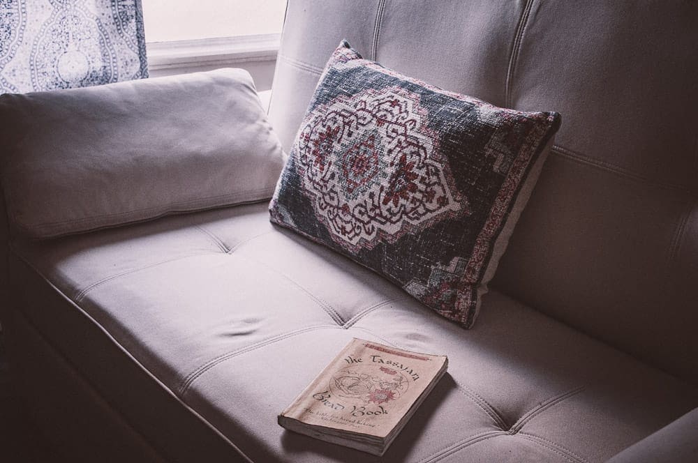 an image of a non toxic white sofa bed lit by window light with a book and pillow resting on top