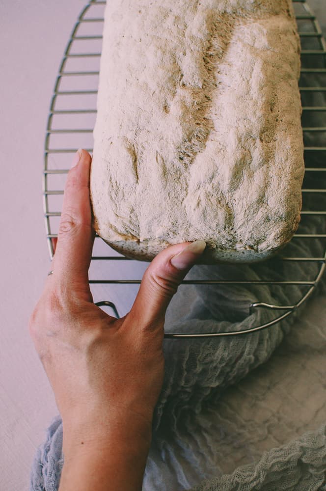 a hand holding a loaf of vegan gluten free white bread