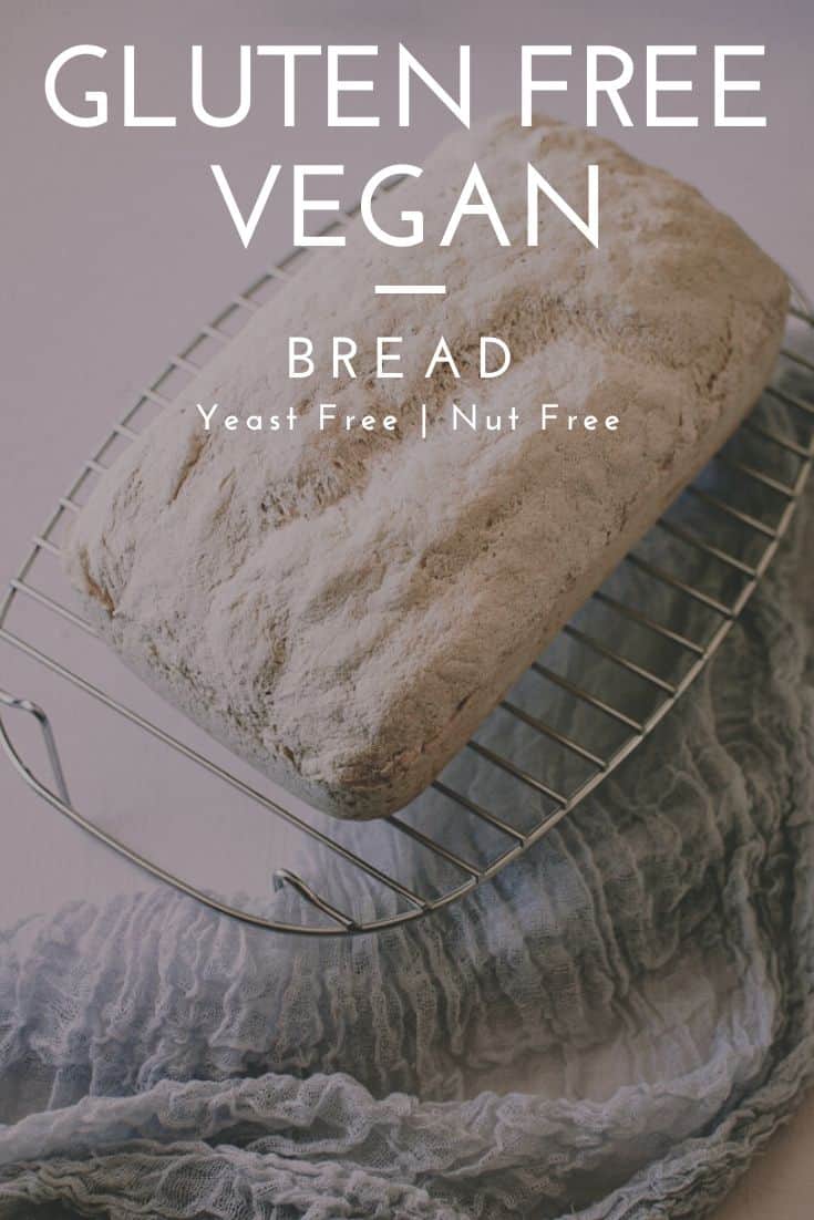 Vegan GlutenFree YeastFree Bread Recipe