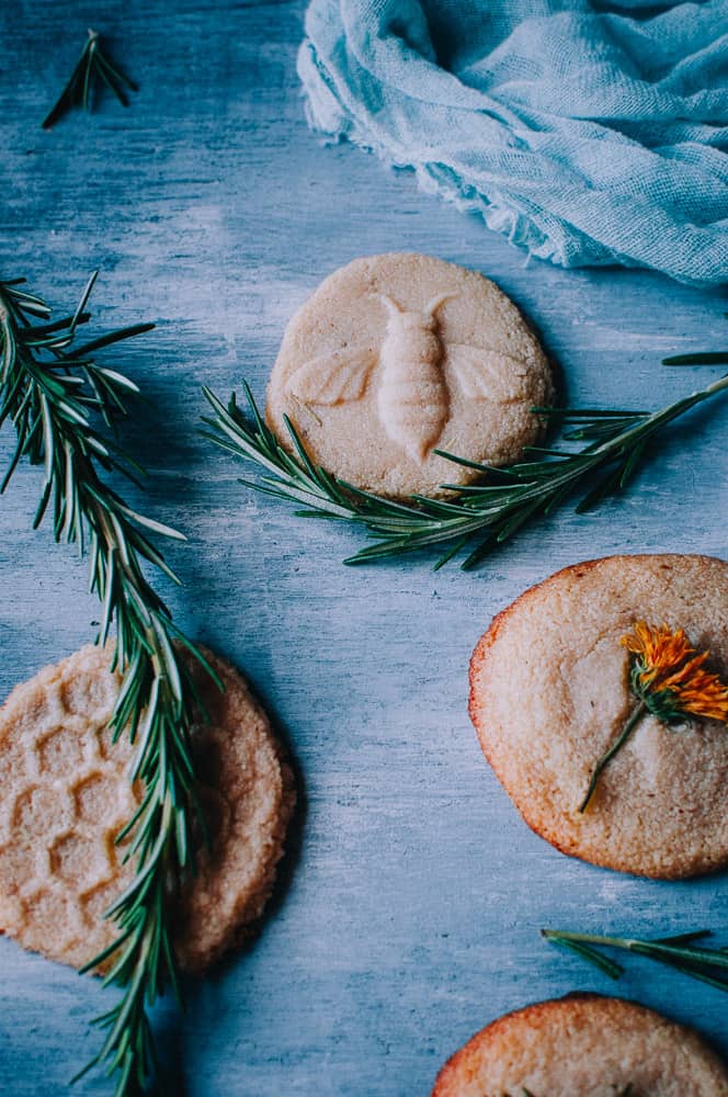 a bee cookie stamped shortbread cookie