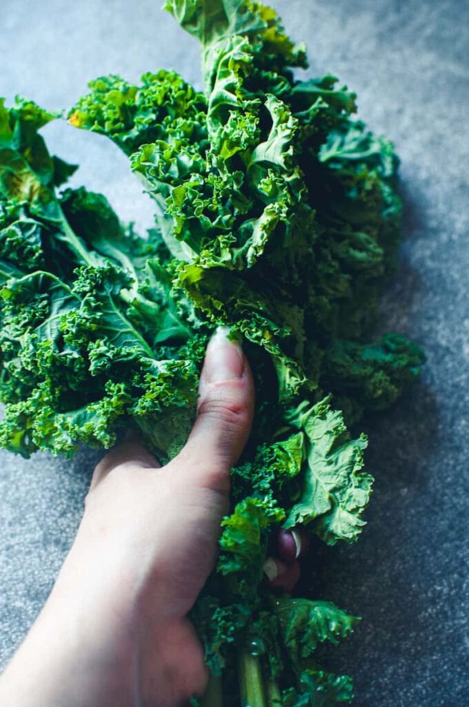 a hand holding a fresh bunch of kale