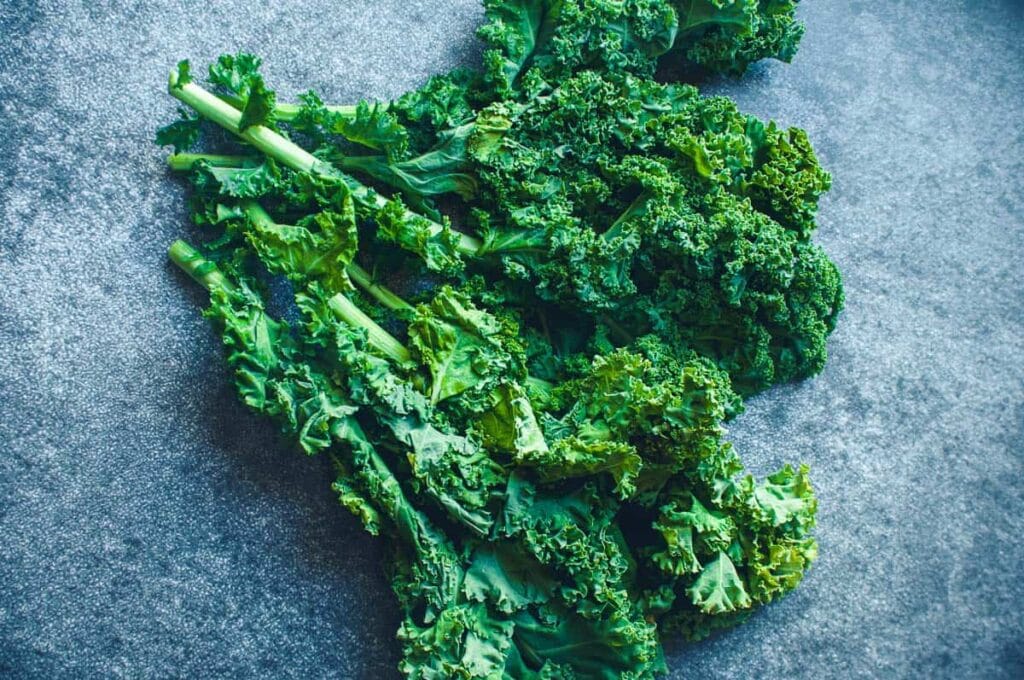 a vibrant green bunch of kale