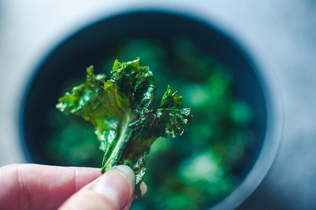 a close up of a hand holding an air fried kale chip