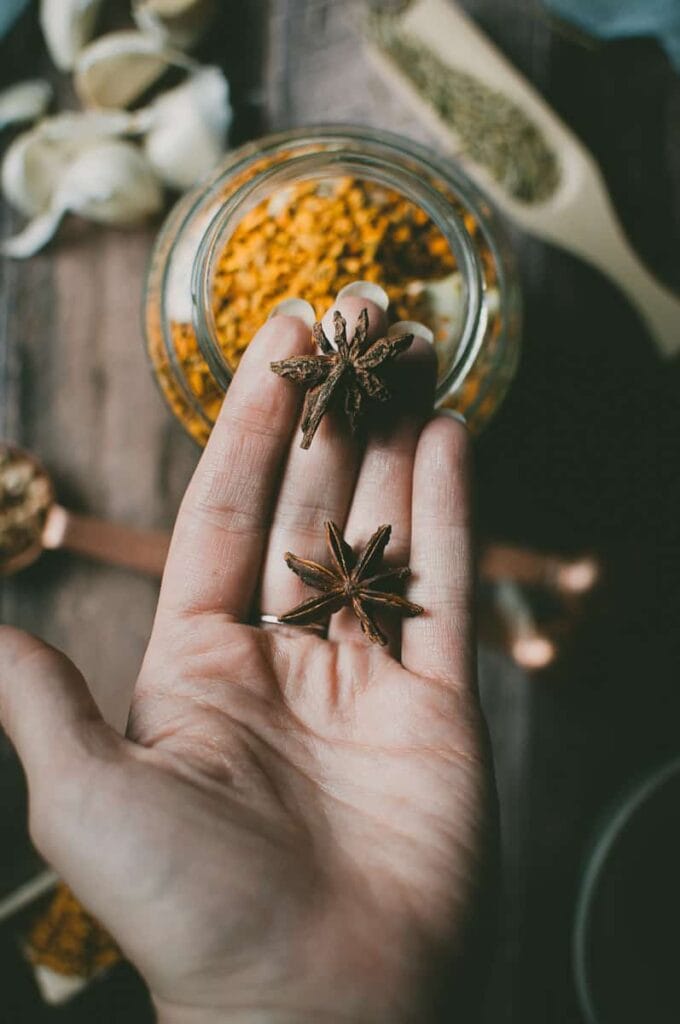 a hand holding star anise pods