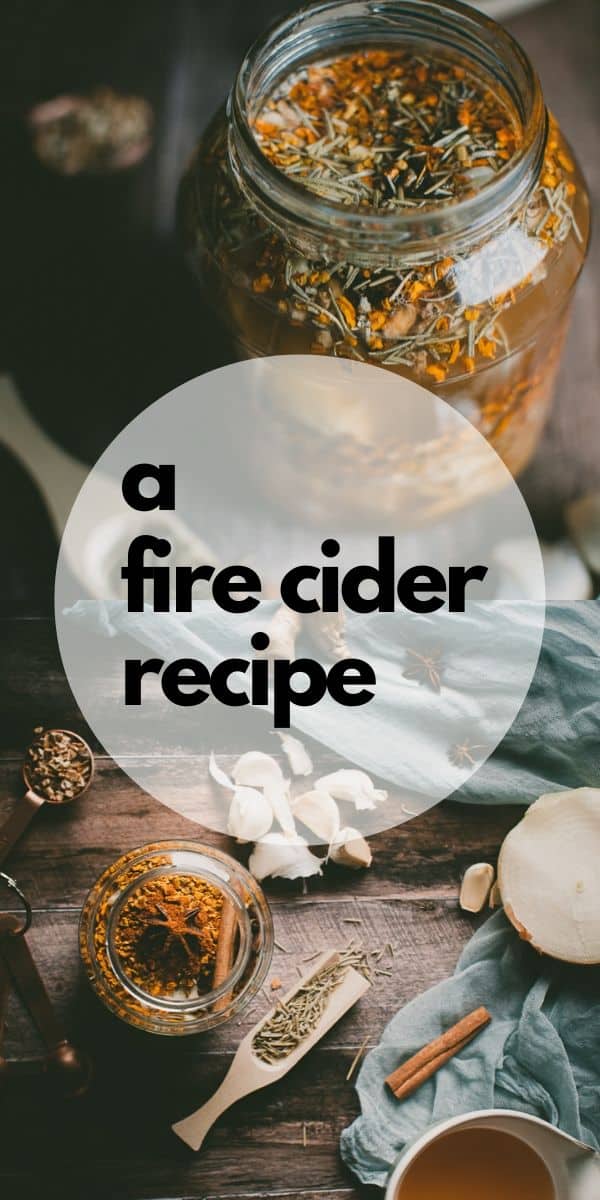 the-best-fire-cider-recipe-moon-and-spoon-and-yum