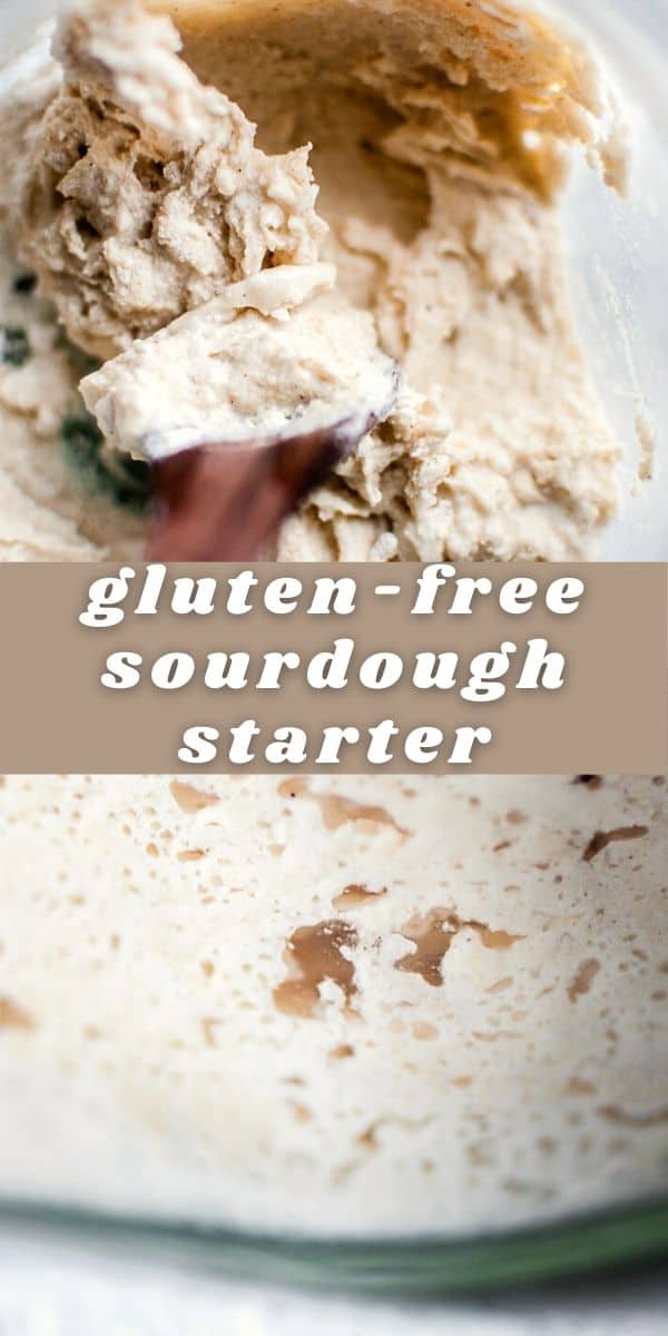 Gluten-Free Sourdough Starter | MOON And Spoon And Yum