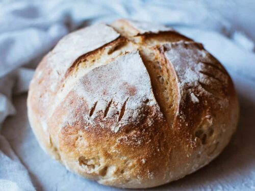 gluten free sourdough bread maker recipe