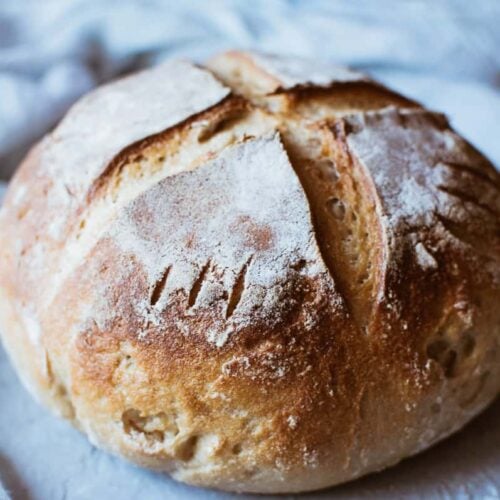 https://moonandspoonandyum.com/wp-content/uploads/2020/09/gluten-free-sourdough-bread-recipe-17-of-60-500x500.jpg