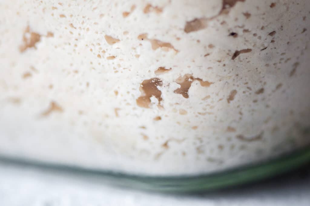 a close up shot of a clear jar filled with active gluten free sourdough starter with lots of bubbles and air pockets throughout