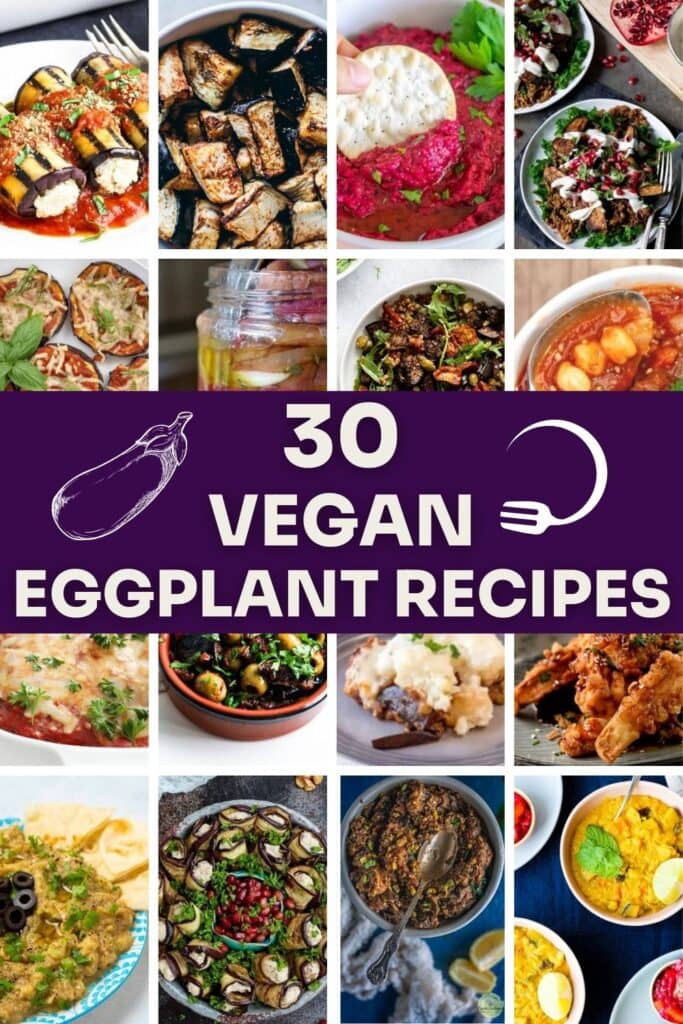 vegan eggplant recipes pin