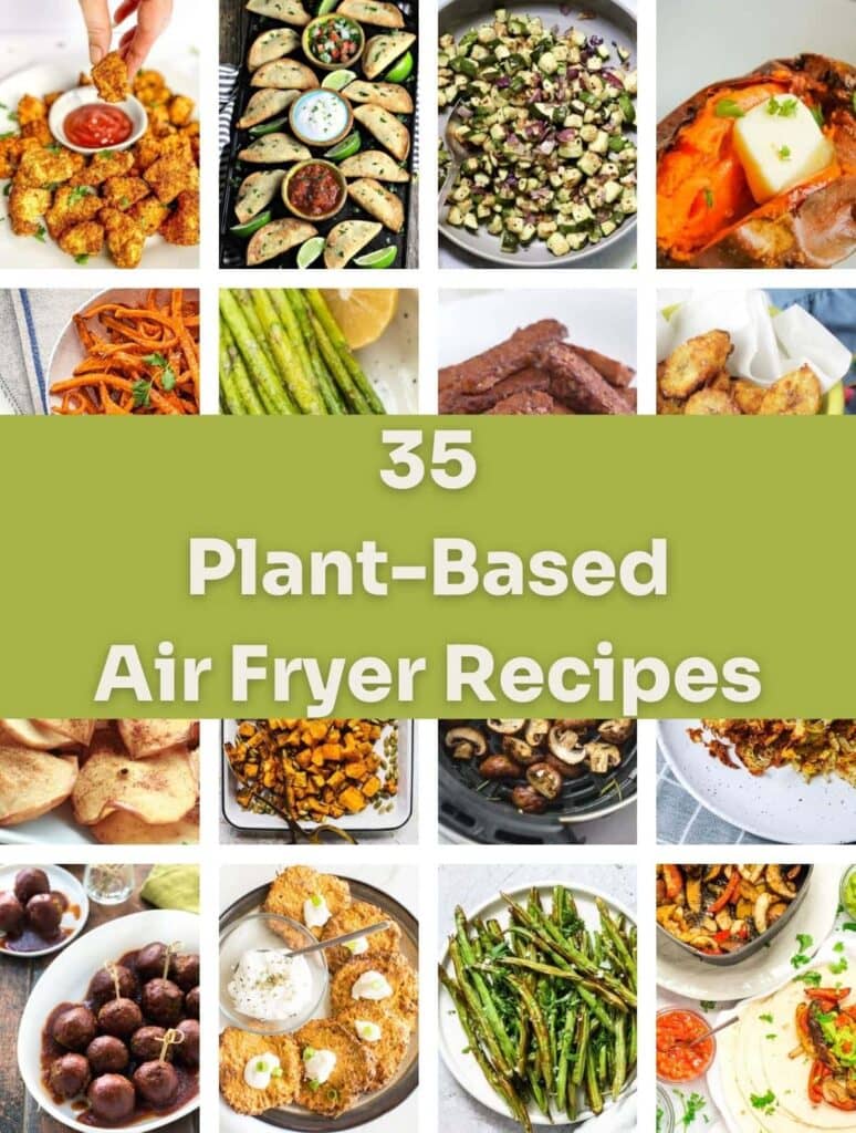 plant based air fryer recipes image