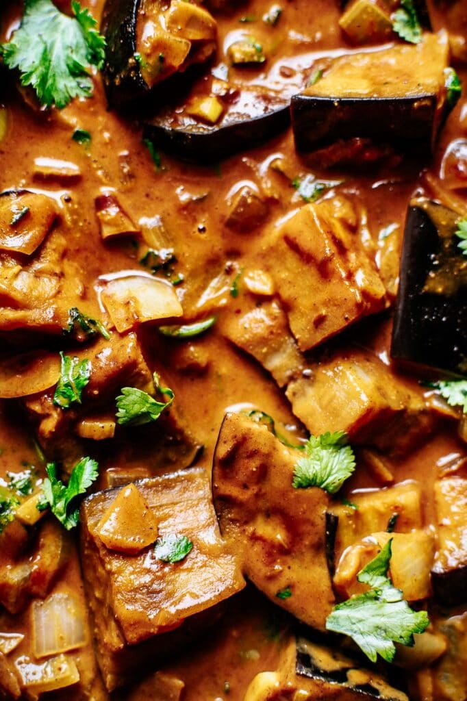 a close up shot of eggplant curry