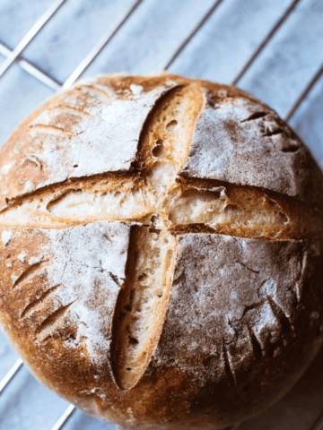 a close up shot of gluten free sourdough bread