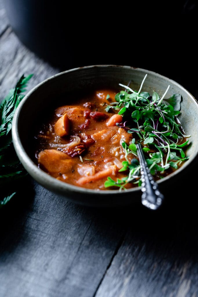 a dark moody shot of a ceramic bowl filled with chunky stew