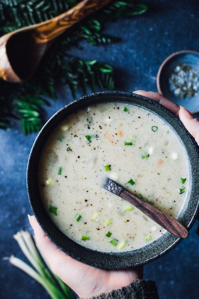 hands holding a big bowl of creamy potato soup topped with scallions