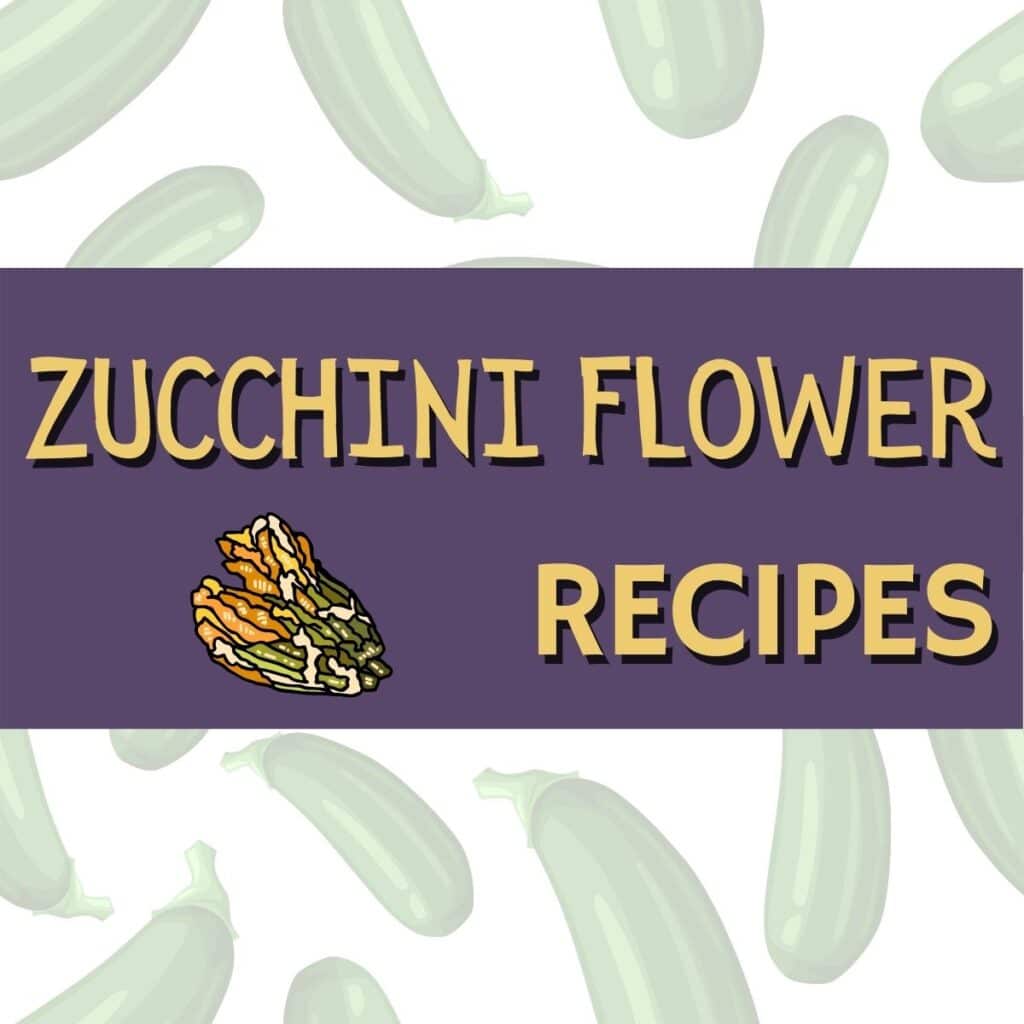 square image about zucchini flower recipes