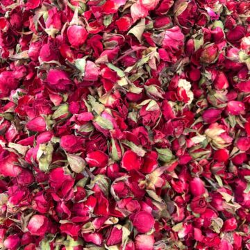 vibrant dark edible rose buds fill the frame