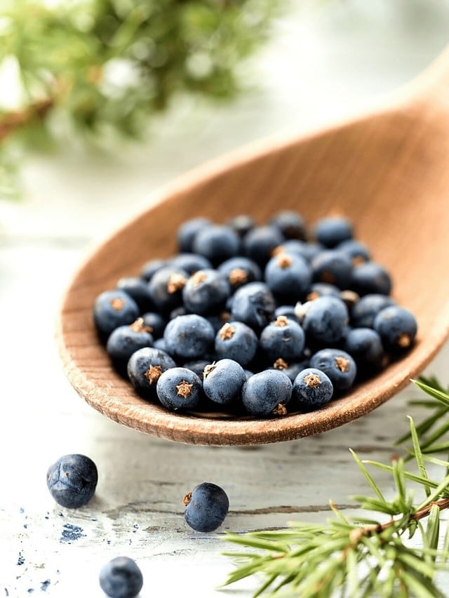 11 Juniper Berry Recipes + Foraging Tips