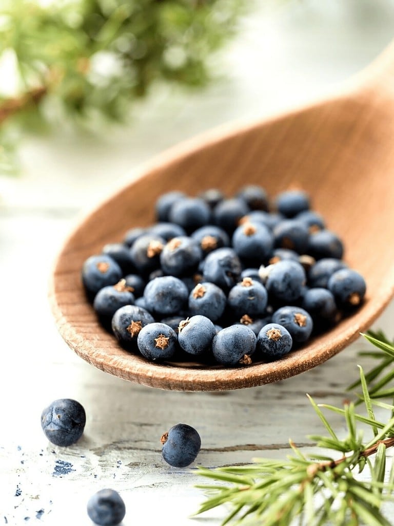 11 Juniper Berry Recipes + Foraging Tips