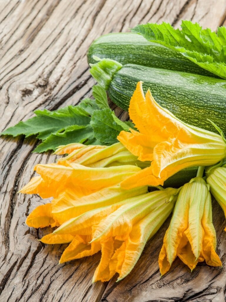 a pile of zucchini with yellow courgette blossoms