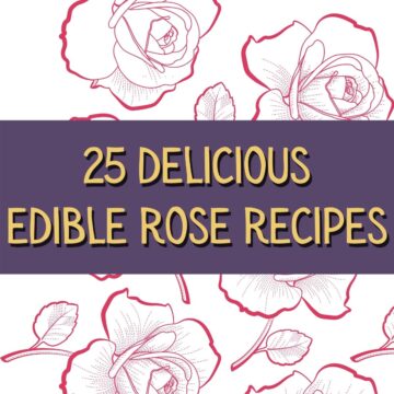 25 Delicious Edible Rose Recipes - MOON and spoon and yum