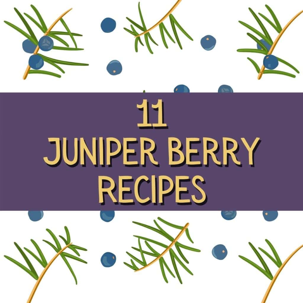 How to Use Juniper Berries in Cooking and More - Delishably