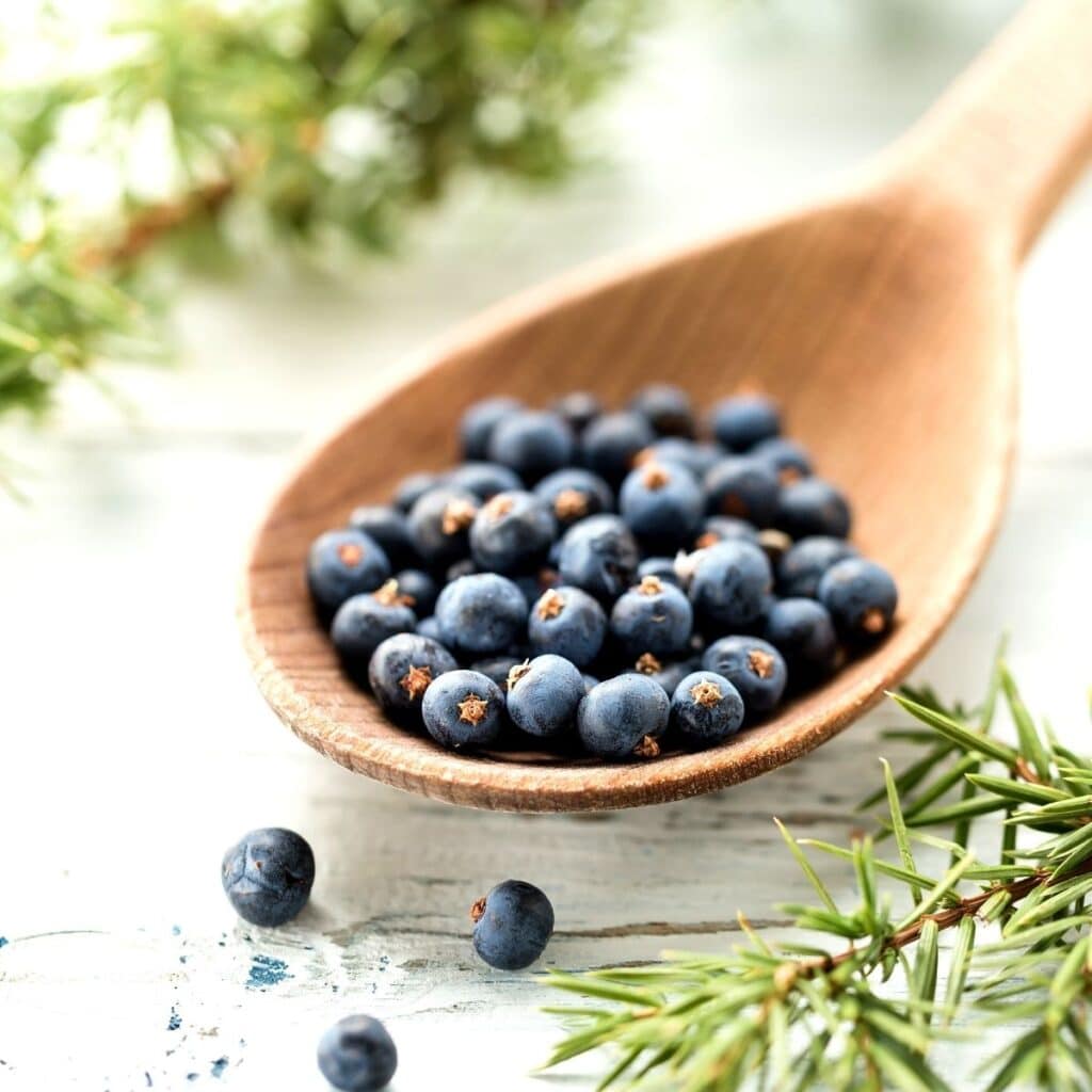 a wooden spoon filled with juniper berries